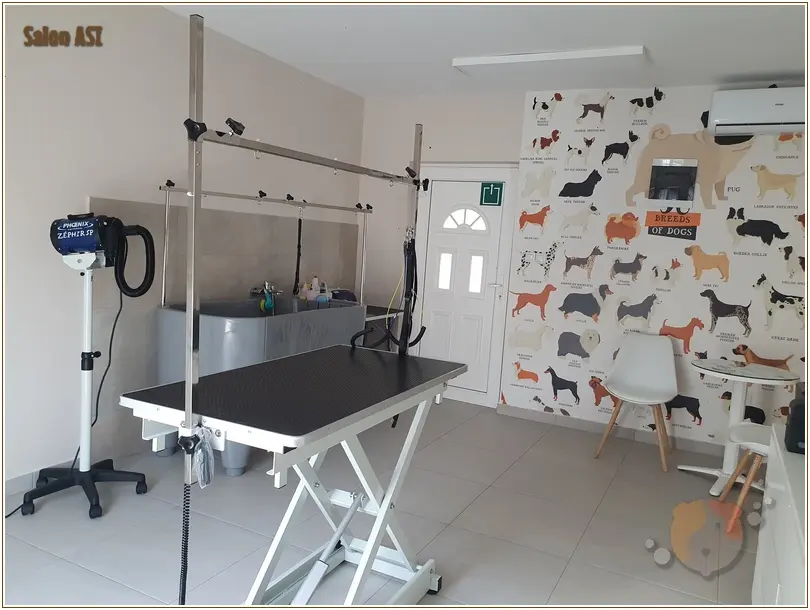 Oprema za šišanje i njegu pasa u Salonu ASI