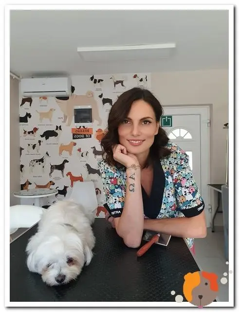Vlasnica Salona ASI u prostoru za njegu pasa